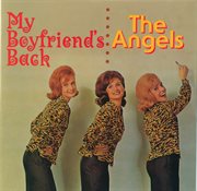 My boyfriend's back : girl groups of the 60s cover image