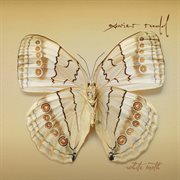 White Moth cover image
