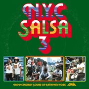 Nyc salsa, vol. 3 cover image