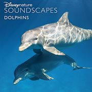 Disneynature soundscapes: dolphins cover image