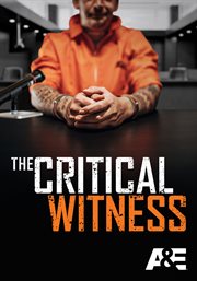 The critical witness cover image