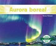 Aurora boreal (Northern Lights)