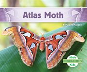Atlas moth cover image