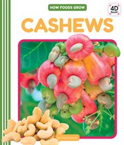Cashews cover image