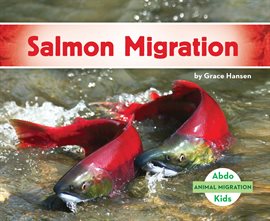 Cover image for Salmon Migration