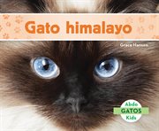 Gato himalayo cover image