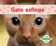 Gato esfinge cover image