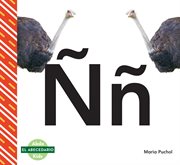 Nn cover image