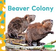 Beaver colony cover image