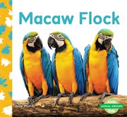 Macaw flock cover image