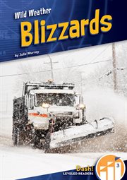 BLIZZARDS cover image