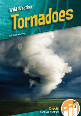 Cover image for Tornadoes