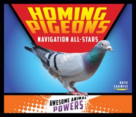 Cover image for Homing Pigeons
