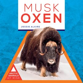 Cover image for Musk Oxen