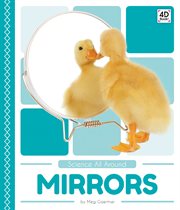 Mirrors cover image