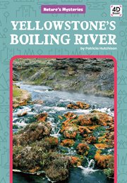 Yellowstone's boiling river cover image
