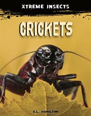 Crickets : Xtreme Insects Set 2 cover image