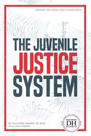 The juvenile justice system cover image
