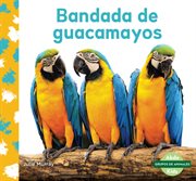 Bandada de guacamayos (macaw flock) cover image
