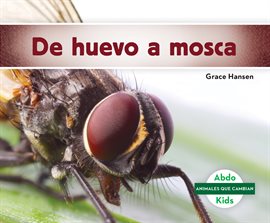 Cover image for De huevo a mosca (Becoming a Fly)
