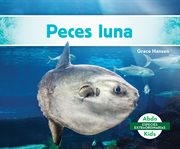Peces luna (mola ocean sunfish) cover image