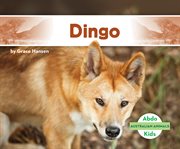 DINGO cover image