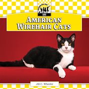 American wirehair cats cover image