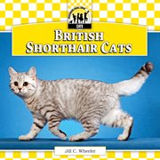 British shorthair cats cover image