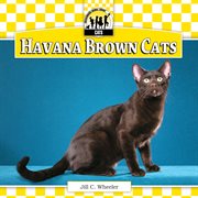 Havana brown cats cover image