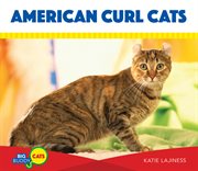 American curl cats cover image