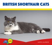 British shorthair cats cover image