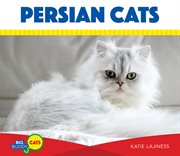 Persian cats cover image