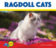 Ragdoll cats cover image