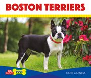 Boston terriers cover image