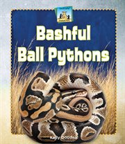 Bashful ball pythons cover image