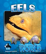 Eels : Underwater World cover image