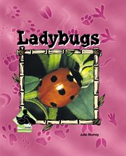 Ladybugs : Animal Kingdom Set 1 cover image