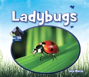 Ladybugs : Insects cover image