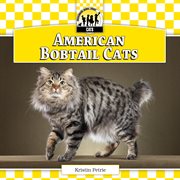 American bobtail cats cover image