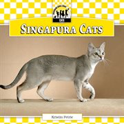 Singapura cats cover image