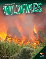 Wildfires cover image