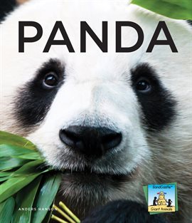 Cover image for Panda