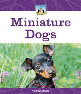 Cover image for Miniature Dogs