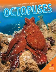 Octopuses cover image