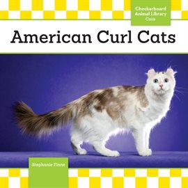 Cover image for American Curl Cats