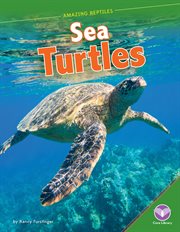 Sea turtles cover image