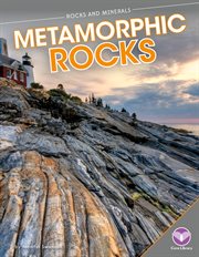Metamorphic Rocks cover image