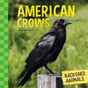 American crows cover image