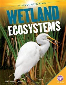 Link to Wetland Ecosystems by Nikole Brooks Bethea in Hoopla