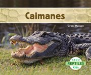 Caimanes (Alligators) : Reptiles (Spanish Version) cover image